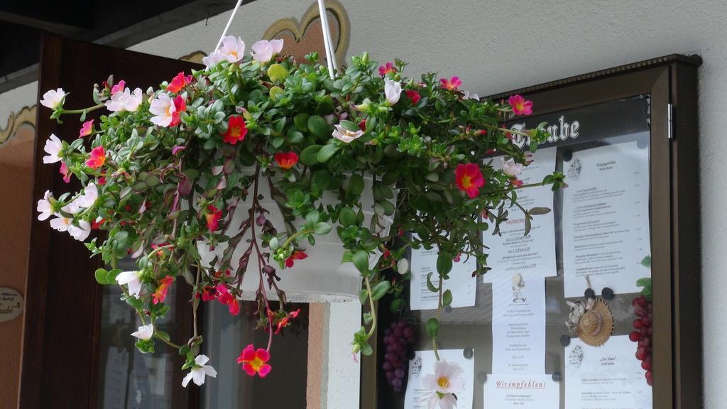 Hotel Traube Sankt Gallenkirch Extérieur photo